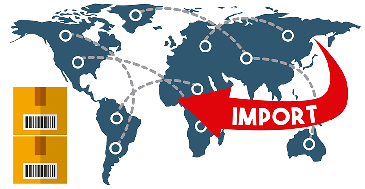 What is Import? Who Can Be Importer